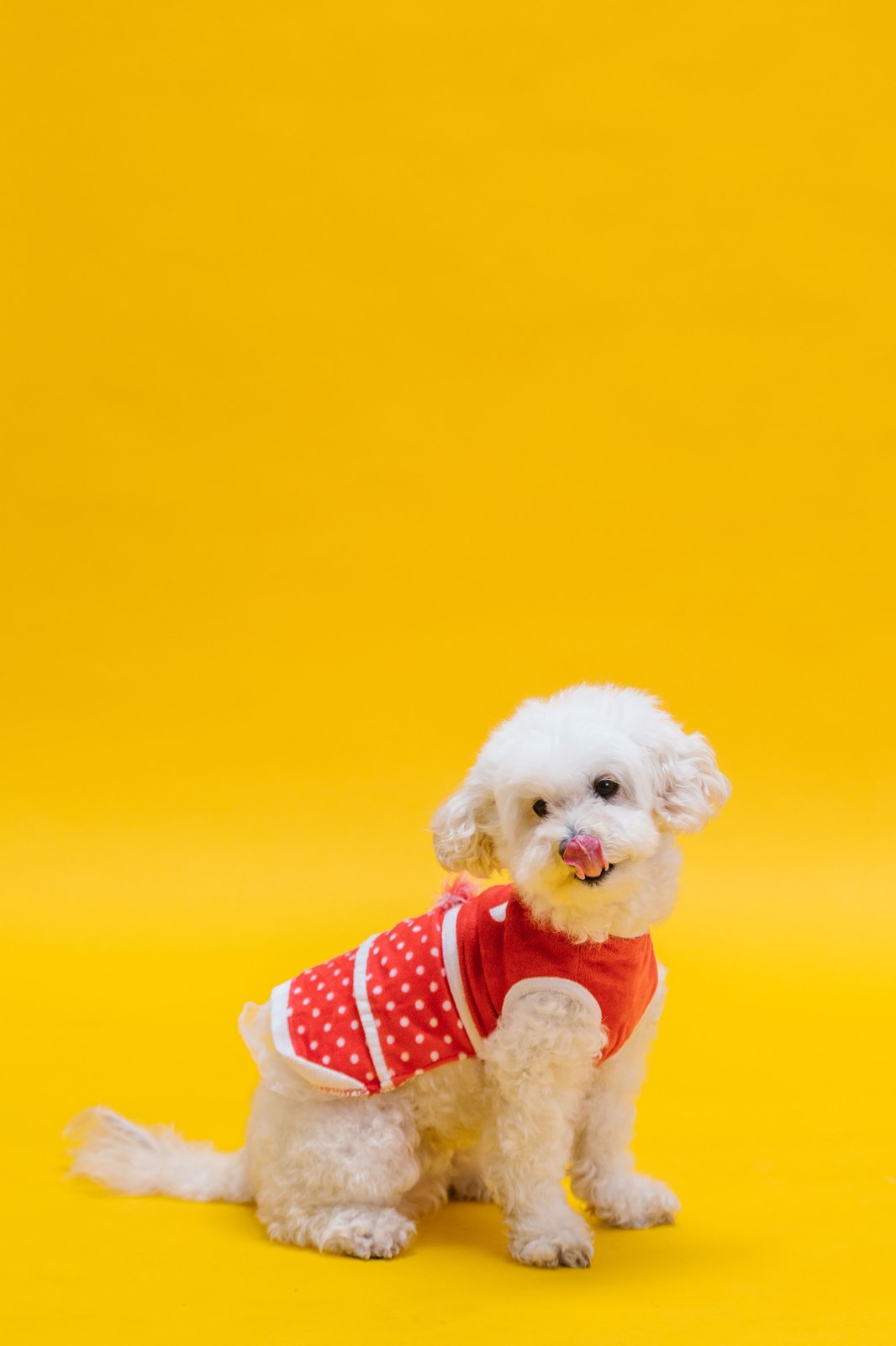 Dressed to impress