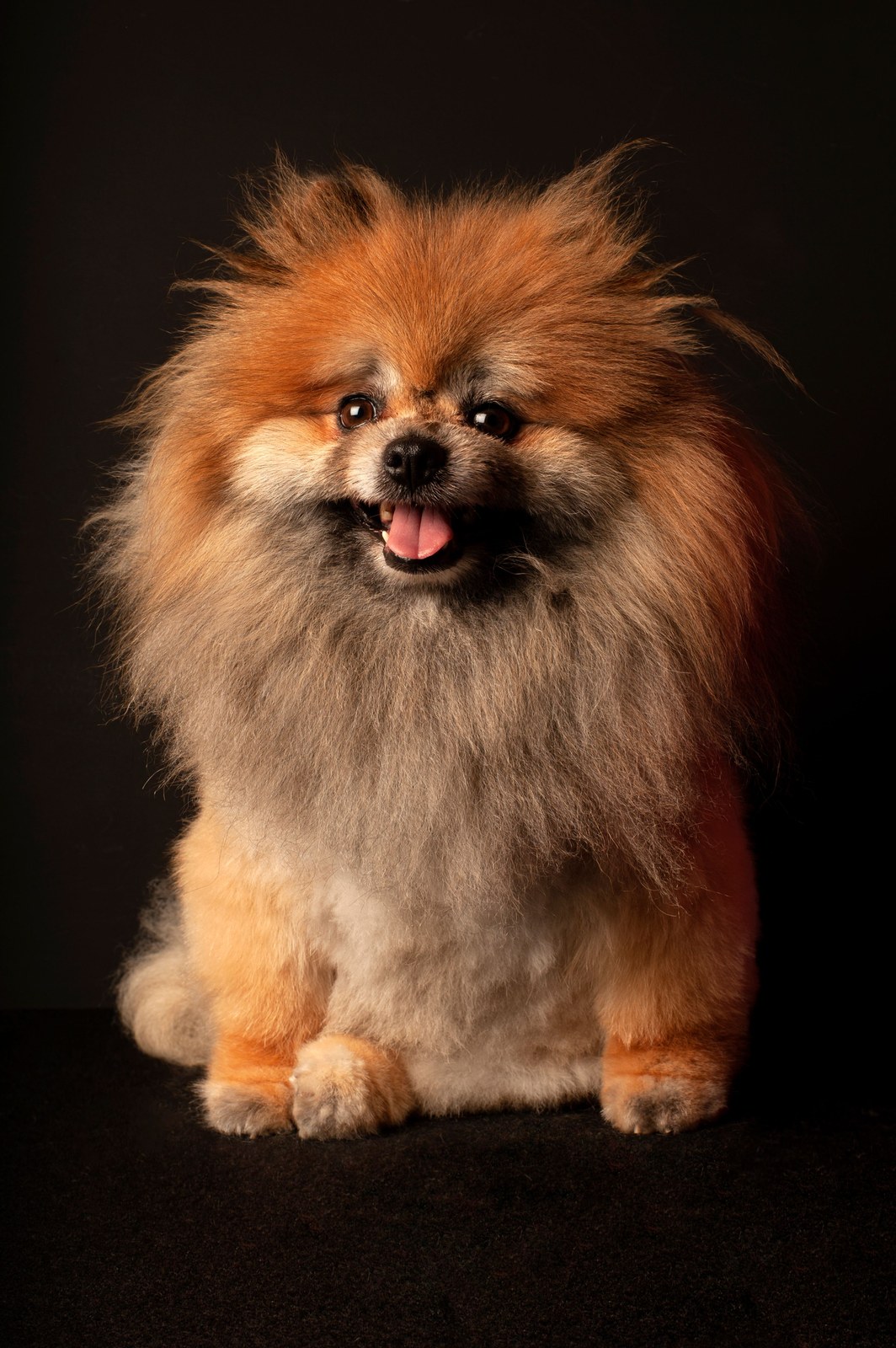 Cloud-Level Fluffiness ✨
